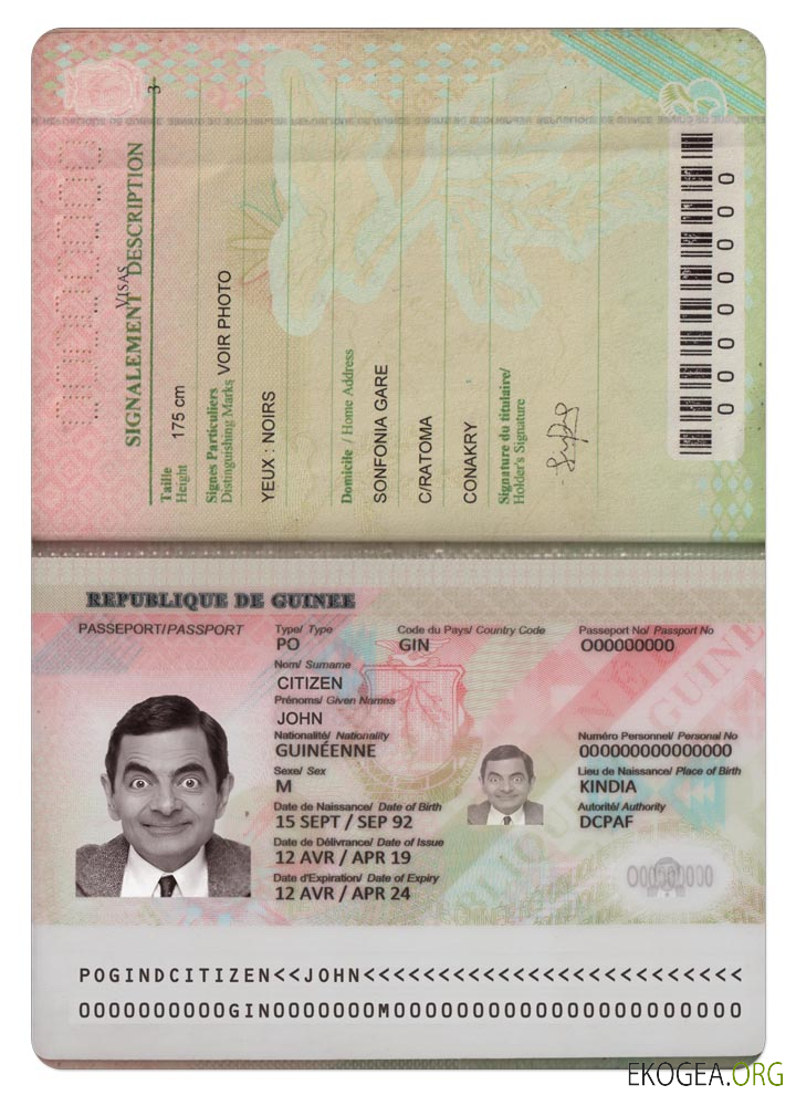 Passeport GUINÉE (2018 présent)